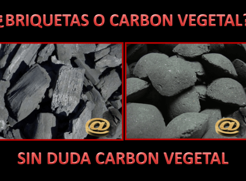 Descubra la diferencia entre el carbón vegetal y mineral