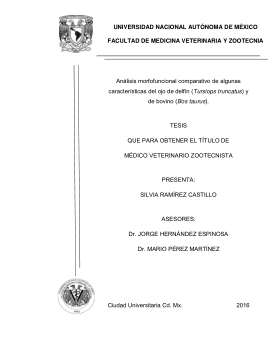 Diferencia entre veterinaria y zootecnia: descubre en qué se enfocan 17 Diferencia entre veterinaria y zootecnia: descubre en qué se enfocan